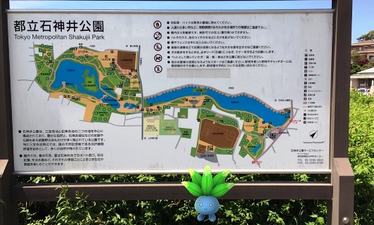 a_石神井公園